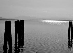 pali, riflesso, mare, acqua, bianconero, lago, orizzonte, montagne, uccello, controluce