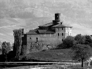 castello, torre, alberi, bianconero, finestre, fortezza, collina, piante