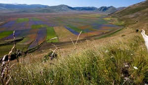 campi, erba, panorama, montagne, verde, paesaggio, coltivazioni, colline, colori