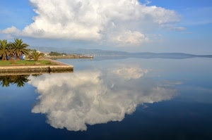 nuvole, riflesso, mare, palme, acqua, lago, riflessi, panorama, cielo, alberi