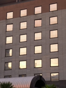 finestre, palazzo, riflessi, quadrati, vetri, riflesso, verde, muro, grigio, vetro, specchi, facciata, piante, alberi