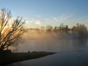 nebbia, acqua, fiume, alberi, cielo, lago, alba, rami, foschia