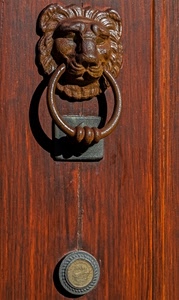 legno, leone, porta, batacchio, metallo, ruggine, anello, cerchio, marrone, battente, maniglia, ombra, battiporta, ferro