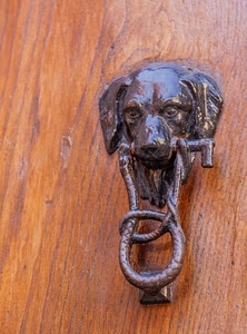 batacchio, cane, legno, porta, metallo, battiporta, ferro, marrone