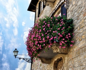 balcone, fiori, lampione, rosa, nuvole, gerani, cielo, finestre
