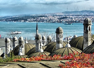 mare, cupole, panorama, foglie, acqua, comignoli, minareto, tetti, cielo, torri