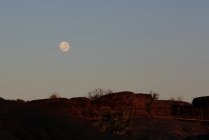 luna, cielo, alberi, rocce, piante, staccionata, piena, controluce, paesaggio, sera