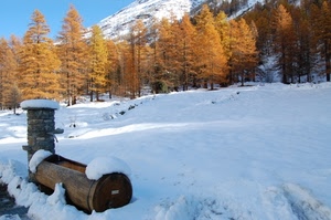neve, fontana, alberi, montagna, inverno, bianco