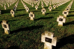 cimitero, croci, prato, verde, erba, lapidi, ombra, tombe, guerra, file, prospettiva, targhe, bianco