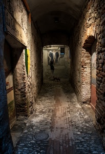 vicolo, cane, mattoni, porte, notte, muri, luci