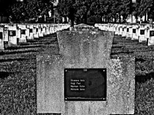 cimitero, croci, bianconero, guerra, prospettiva, lapide, tombe