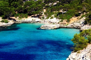 mare, rocce, acqua, alberi, azzurro, verde, roccia, blu, scogli, piante, vegetazione, insenatura