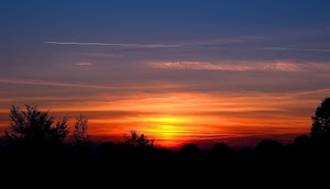tramonto, rosso, alberi, cielo, sole, nuvole, controluce, alba