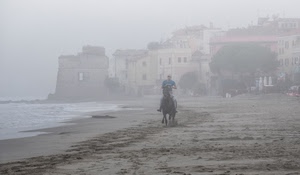 spiaggia, nebbia, cavallo, sabbia, mare, case, cavaliere, alberi, torre, acqua, foschia, finestre, borgo