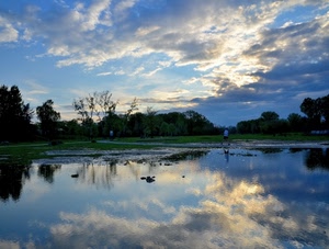 nuvole, riflesso, acqua, lago, cielo, prato, paesaggio, riflessi
