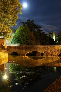 ponte, fiume, luna, acqua, notturno, notte, torre, riflesso, archi, alberi
