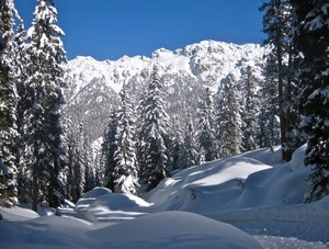 neve, alberi, bianco, inverno, montagne, montagna, cielo, abeti, bosco, pini, paesaggio