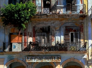 insegna, finestre, balconi, pianta, archi, verde, persiane, ringhiere, balcone, finestra, degrado, abbandono