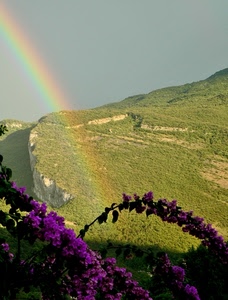 arcobaleno, fiori, verde, viola, montagna, colori, cielo