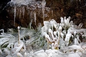 ghiaccio, inverno, bianco, freddo, gelo, ghiaccioli, stalattiti