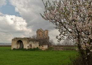 albero, rudere, prato, verde, fiori, nuvole, ruderi, erba, primavera