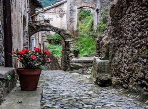 fiori, vaso, arco, vicolo, strada, rovine, muro
