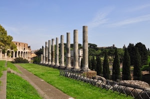 colonne, ruderi, erba, prato, verde, strada, roma, rovine, viale, colosseo, alberi