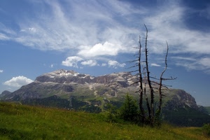 montagna, nuvole, alberi, prato, cielo, verde, albero, montagne, secco