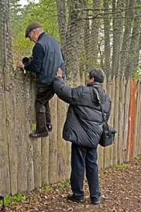 fotografi, due, rete, alberi, staccionata, persone, uomini, borsa, palizzata