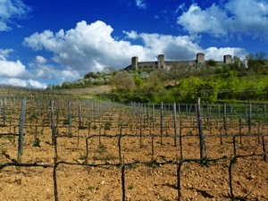 nuvole, torri, castello, cielo, viti, vigneto, mura, verde, pali, terra, alberi, vigna, filari, azzurro, campo, campagna, paesaggio, piante