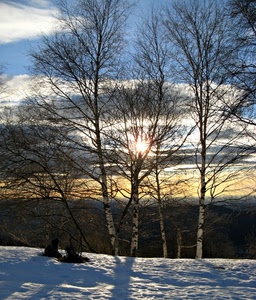 neve, alberi, sole, rami, tramonto, controluce, nuvole, inverno, cielo
