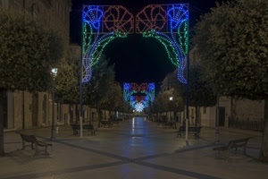 panchine, alberi, luci, luminarie, strada, piazza, archi, decorazioni, natale, viale, notturno