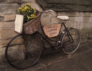 bicicletta, fiori, ruote, sella, cestino, cesto, muro, insegna, giallo