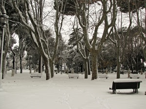 panchine, neve, alberi, inverno, parco, giardino, rami