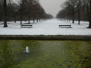 panchine, neve, alberi, fontana, acqua, bianco, inverno, due