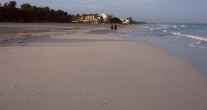 mare, spiaggia, sabbia, case, alberi, orme, acqua, persone, onde, impronte