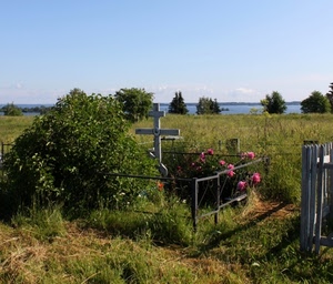 croce, fiori, tomba, piante, erba, lago, alberi, croci, verde