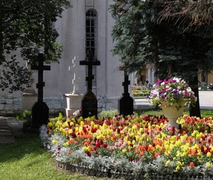 croci, fiori, cimitero, tombe, aiuola, giallo, rosso, vaso