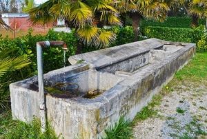 acqua, lavatoio, vasche, verde, tubo, palme, piante, pietra, vasca, fontana