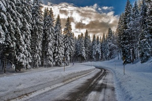 neve, alberi, strada, nuvole, inverno, bianco, cielo, bosco