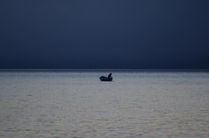 mare, barca, cielo, pescatore, acqua, orizzonte, pescare, blu