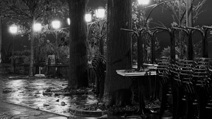 alberi, lampioni, bianconero, sedie, tavoli, notte, pioggia, luci, notturno, tavolini
