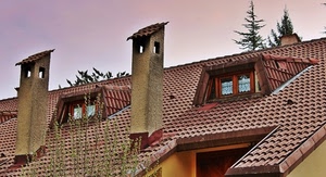 abbaini, tegole, finestre, tetto, alberi, comignoli, cielo, tendine, verde, camini, rami, casa, coppi, azzurro, grondaie, vetri, due