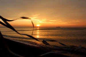 mare, tramonto, sole, nave, spiaggia, foglie, alba, arancio, riflesso