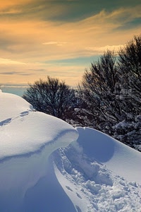 neve, alberi, nuvole, cielo, bianco, inverno, tramonto, rami, orme