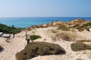 sabbia, mare, spiaggia, cespugli, dune, cielo, orizzonte