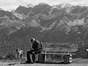 cane, panchina, montagna, montagne, rete, bianconero, uomo