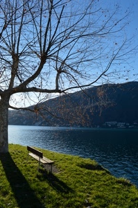 panchina, albero, lago, verde, acqua, cielo, ombre, erba, montagna, rami, ombra, prato, azzurro, fiume, montagne, autunno, case