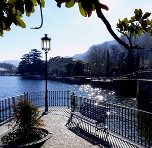 panchina, lampione, lago, acqua, ringhiera, foglie, alberi, riflessi, pianta