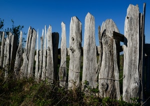 cielo, legno, azzurro, erba, verde, staccionata, grigio, pali, foglie, palizzata, tronchi, steccato, recinzione